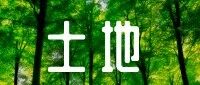 cover_image