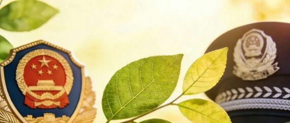 cover_image